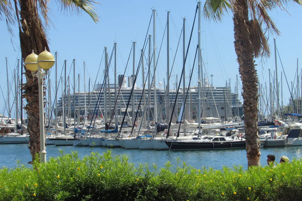 Masts of sailing boats in the Alicante marina seen through palm trees, with a large cruise ship moored behind them