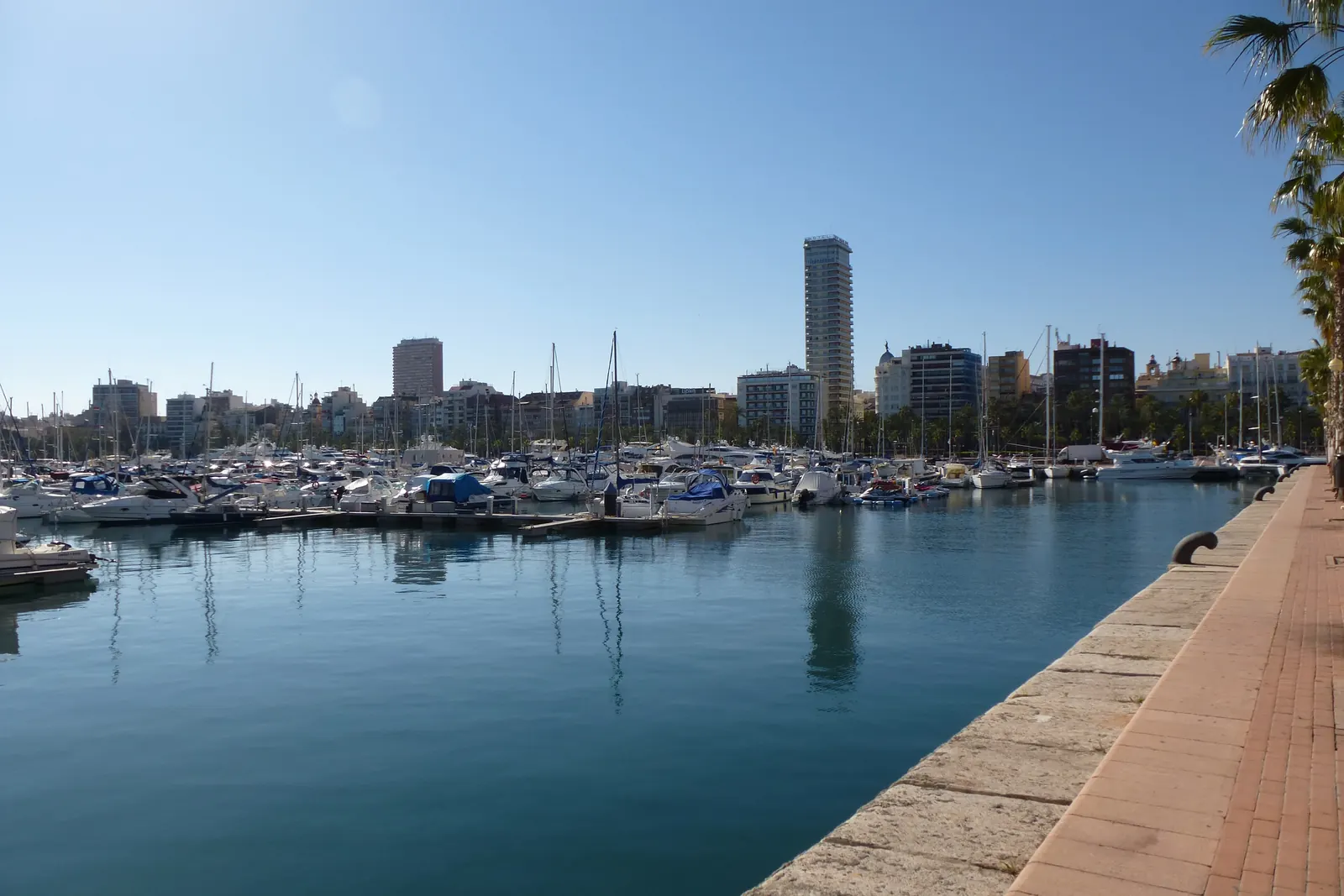 The Alicante marina in clear light, with moored boats along a stone quay and apartment towers on the far shore